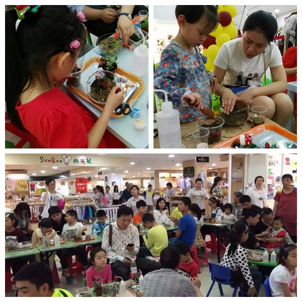 微景观2.jpg 微景观2.jpg