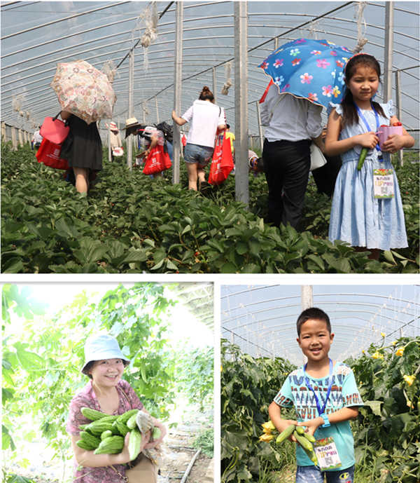 3M0A9829_副本_副本.jpg 3M0A9829_副本_副本.jpg