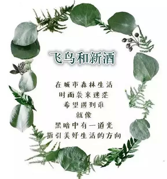 1.webp.jpg 1.webp.jpg