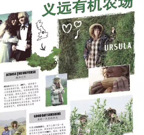 640.webp (1).jpg 640.webp (1).jpg